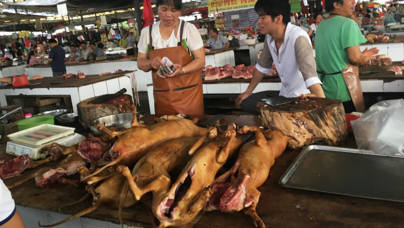 commerçant de viande chien