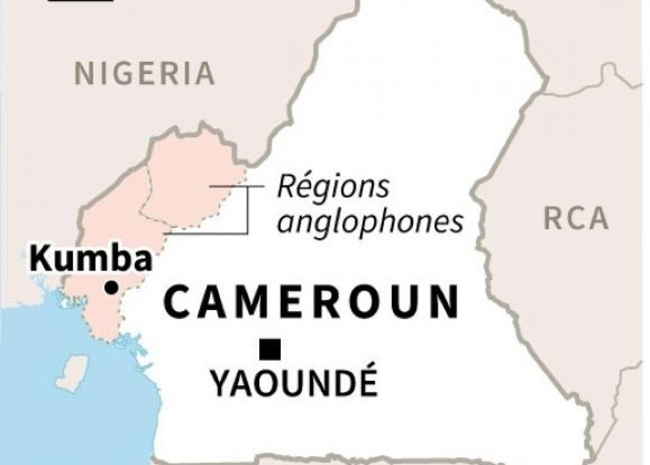 Cameroun : au moins huit enfants tués dans l'attaque de l'école dans une  zone anglophone