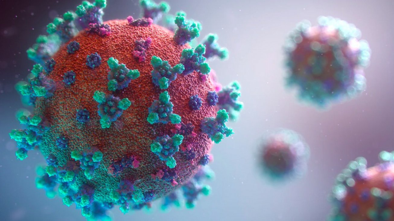 © Fusion Medical Animation on Unsplash