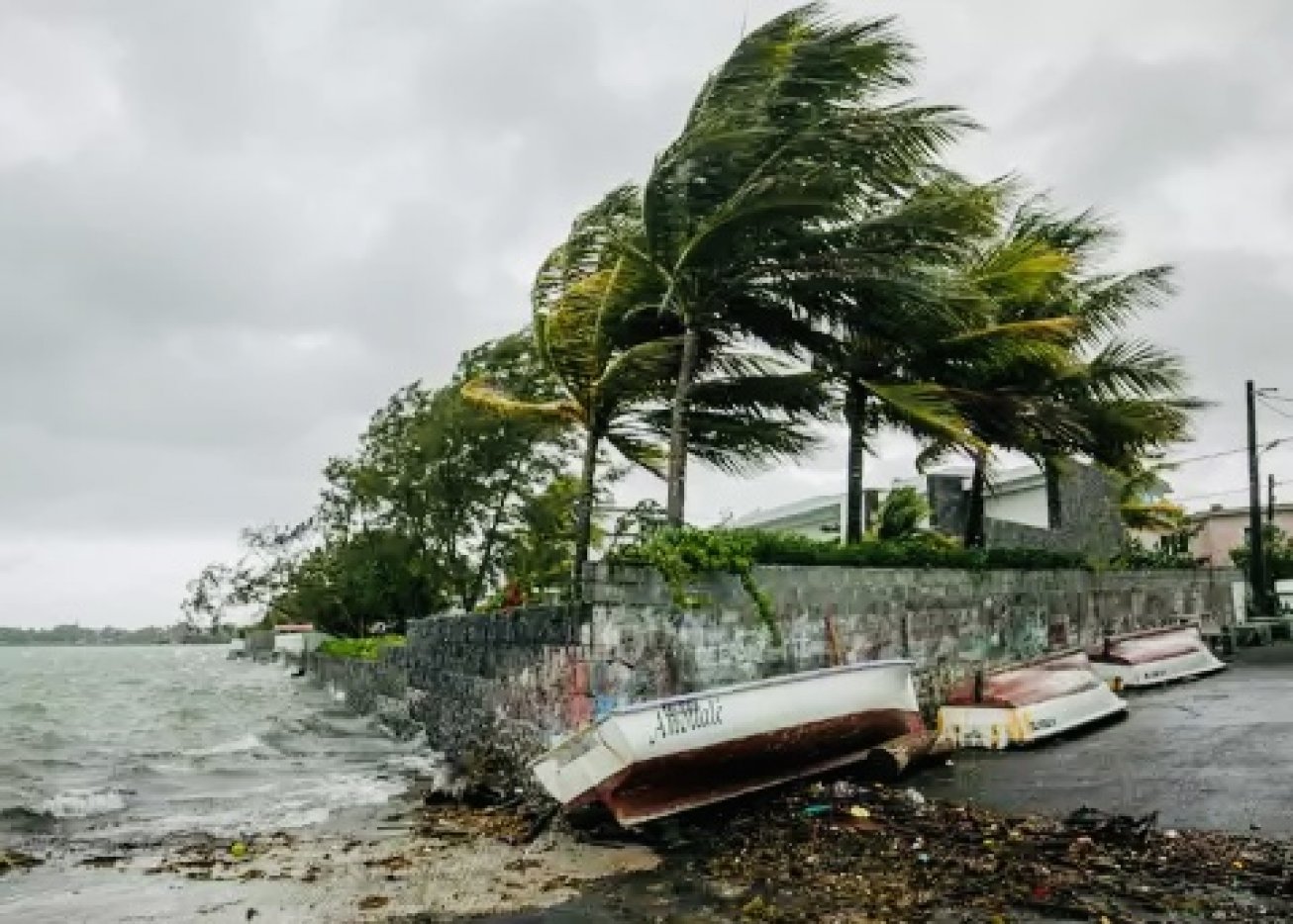 Credit Photo: AFP.