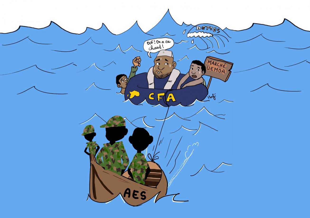 Credit Photo : MODJI