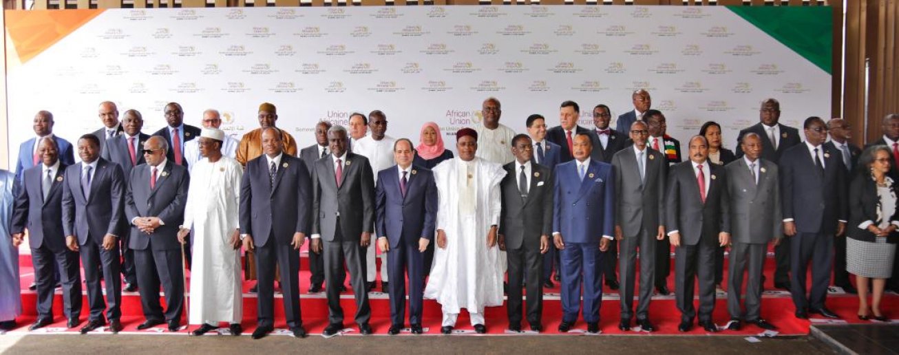 Les dirigeants africains participant à la 33e conférence au sommet de l'Union africaine à Niamey